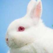 ヒメ日記 2026/03/14 23:36 投稿 のぞみ ラブハーレム(水戸)