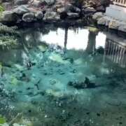 ヒメ日記 2026/03/29 20:53 投稿 のぞみ ラブハーレム(水戸)