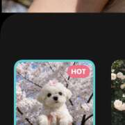 ヒメ日記 2026/04/04 17:52 投稿 のぞみ ラブハーレム(水戸)