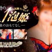 ヒメ日記 2026/04/17 04:39 投稿 のぞみ ラブハーレム(水戸)