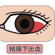 ヒメ日記 2026/04/20 10:23 投稿 のぞみ ラブハーレム(水戸)