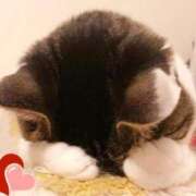 ヒメ日記 2025/03/18 21:45 投稿 さくらさん いけない奥さん 梅田店