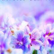 ヒメ日記 2026/04/02 16:13 投稿 さくらさん いけない奥さん 梅田店