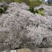 ヒメ日記 2026/04/07 14:41 投稿 さやか ビギナーズ和歌山