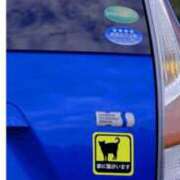 ヒメ日記 2024/12/12 12:16 投稿 かれん ファッションヘルス カリスマ