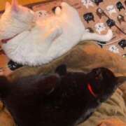 ヒメ日記 2024/12/13 21:15 投稿 かれん ファッションヘルス カリスマ