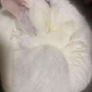 ヒメ日記 2024/12/17 21:15 投稿 かれん ファッションヘルス カリスマ