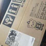 ヒメ日記 2024/12/18 12:46 投稿 かれん ファッションヘルス カリスマ