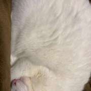 ヒメ日記 2024/12/20 12:23 投稿 かれん ファッションヘルス カリスマ