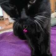 ヒメ日記 2024/12/20 13:03 投稿 かれん ファッションヘルス カリスマ