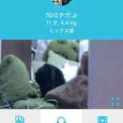 ヒメ日記 2024/12/22 12:03 投稿 かれん ファッションヘルス カリスマ