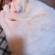 ヒメ日記 2024/12/30 20:32 投稿 かれん ファッションヘルス カリスマ