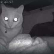 ヒメ日記 2025/01/22 18:16 投稿 かれん ファッションヘルス カリスマ