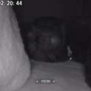 ヒメ日記 2025/03/18 10:55 投稿 かれん ファッションヘルス カリスマ