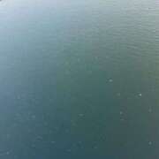 ヒメ日記 2025/03/25 16:25 投稿 かれん ファッションヘルス カリスマ