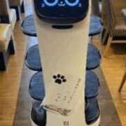 ヒメ日記 2025/03/25 18:45 投稿 かれん ファッションヘルス カリスマ