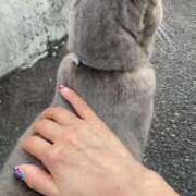 ヒメ日記 2025/03/26 10:15 投稿 かれん ファッションヘルス カリスマ