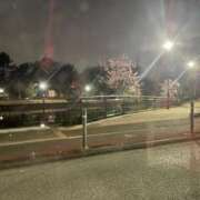 ヒメ日記 2025/03/26 23:35 投稿 かれん ファッションヘルス カリスマ