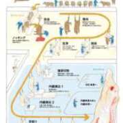 ヒメ日記 2025/03/31 12:25 投稿 かれん ファッションヘルス カリスマ