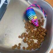 ヒメ日記 2025/04/03 19:25 投稿 かれん ファッションヘルス カリスマ