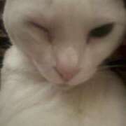 ヒメ日記 2025/04/05 11:05 投稿 かれん ファッションヘルス カリスマ