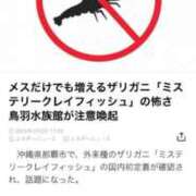 ヒメ日記 2025/04/05 19:32 投稿 かれん ファッションヘルス カリスマ