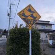 ヒメ日記 2025/04/13 15:55 投稿 かれん ファッションヘルス カリスマ