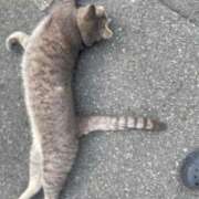 ヒメ日記 2025/04/21 20:55 投稿 かれん ファッションヘルス カリスマ