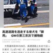 ヒメ日記 2025/05/01 12:35 投稿 かれん ファッションヘルス カリスマ