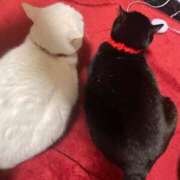 ヒメ日記 2025/05/07 10:35 投稿 かれん ファッションヘルス カリスマ