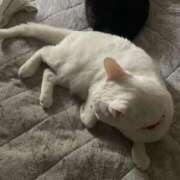 ヒメ日記 2025/05/14 10:25 投稿 かれん ファッションヘルス カリスマ