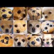 ヒメ日記 2025/05/29 10:55 投稿 かれん ファッションヘルス カリスマ