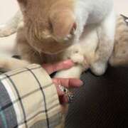 ヒメ日記 2025/05/30 23:05 投稿 かれん ファッションヘルス カリスマ