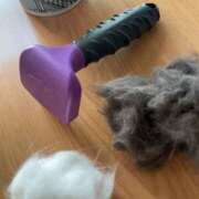 ヒメ日記 2025/06/01 16:05 投稿 かれん ファッションヘルス カリスマ