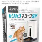 ヒメ日記 2025/06/04 00:50 投稿 かれん ファッションヘルス カリスマ