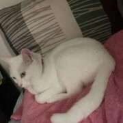 ヒメ日記 2025/06/05 12:45 投稿 かれん ファッションヘルス カリスマ