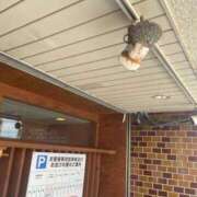 ヒメ日記 2025/06/16 12:35 投稿 かれん ファッションヘルス カリスマ