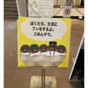 ヒメ日記 2025/06/18 10:25 投稿 かれん ファッションヘルス カリスマ