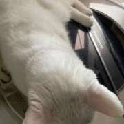 ヒメ日記 2025/06/20 11:35 投稿 かれん ファッションヘルス カリスマ