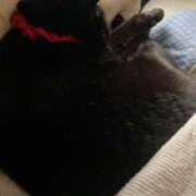 ヒメ日記 2025/06/22 10:25 投稿 かれん ファッションヘルス カリスマ