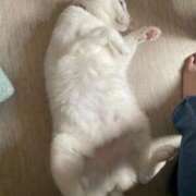 ヒメ日記 2025/06/22 12:25 投稿 かれん ファッションヘルス カリスマ