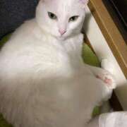 ヒメ日記 2025/06/23 10:45 投稿 かれん ファッションヘルス カリスマ