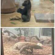 ヒメ日記 2025/06/28 17:17 投稿 かれん ファッションヘルス カリスマ