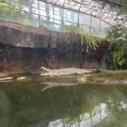 ヒメ日記 2025/06/29 12:06 投稿 かれん ファッションヘルス カリスマ