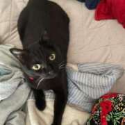 ヒメ日記 2025/07/04 10:35 投稿 かれん ファッションヘルス カリスマ