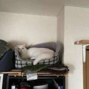 ヒメ日記 2025/07/05 10:25 投稿 かれん ファッションヘルス カリスマ