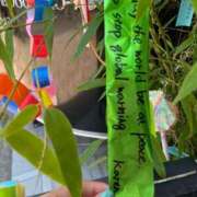 ヒメ日記 2025/07/07 12:55 投稿 かれん ファッションヘルス カリスマ