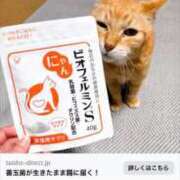 ヒメ日記 2025/07/16 11:05 投稿 かれん ファッションヘルス カリスマ