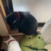 ヒメ日記 2025/07/18 12:25 投稿 かれん ファッションヘルス カリスマ