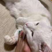 ヒメ日記 2025/07/25 12:31 投稿 かれん ファッションヘルス カリスマ